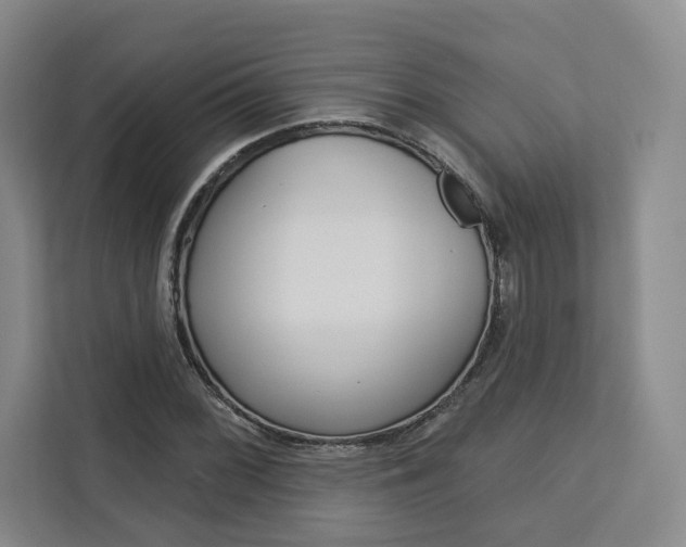 X0000113081068200908280942