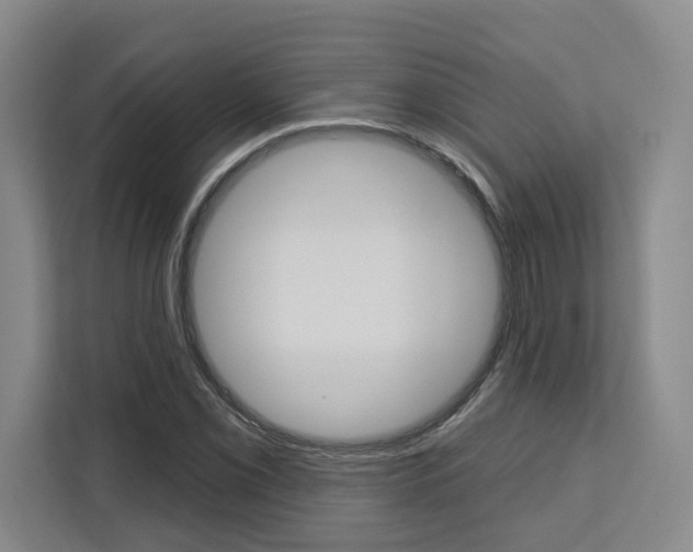 X0000113081069200908280942