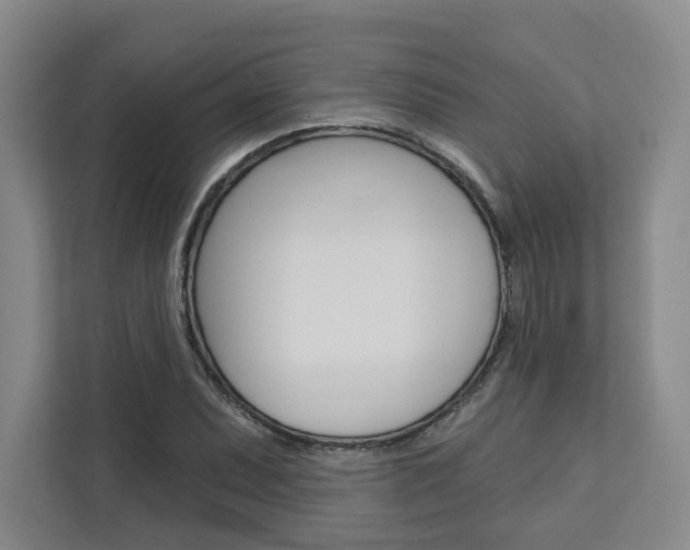 X0000113081071200908280942