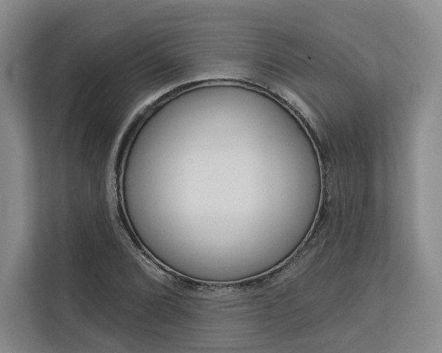 X0000113081072200908280942