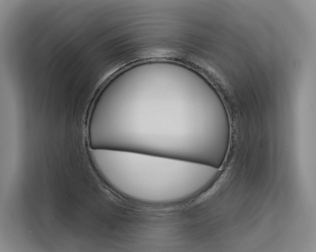 X0000113081073200908280942