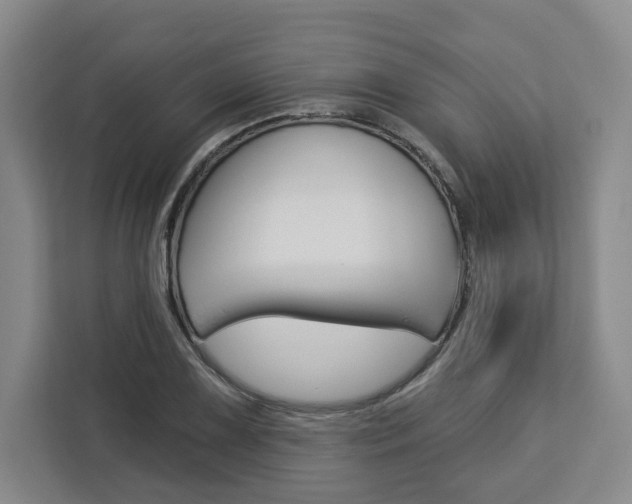 X0000113081075200908280942