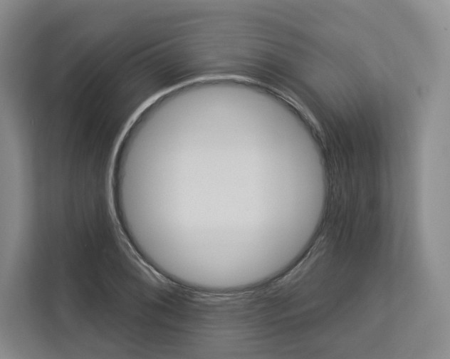 X0000113081076200908280942