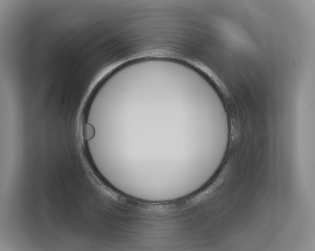 X0000113081078200908280942