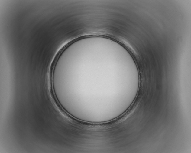 X0000113081079200908280942