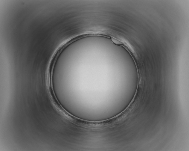 X0000113081080200908280942