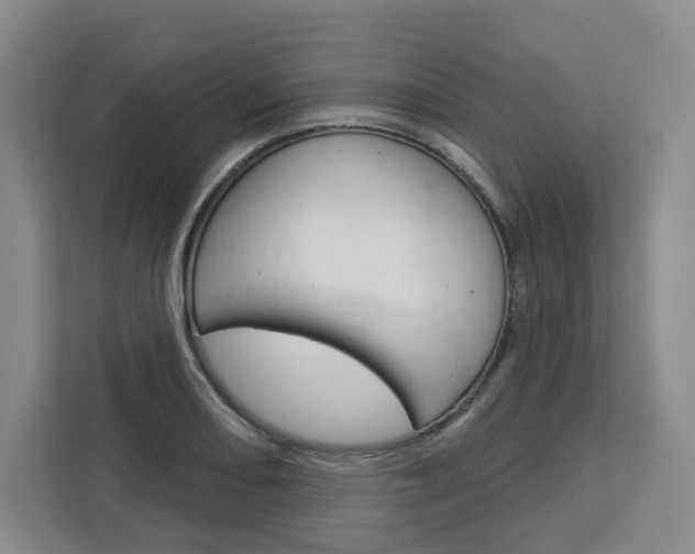 X0000113081082200908280942
