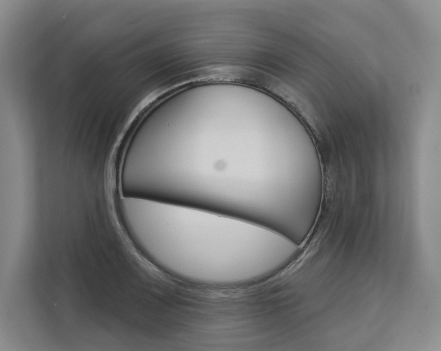 X0000113081083200908280942