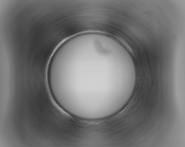 X0000113081084200908280942