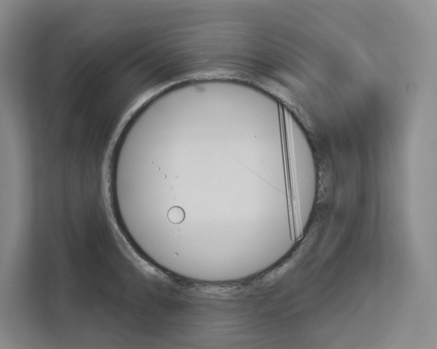 X0000113081086200908280942