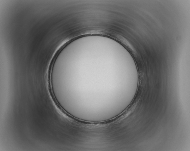 X0000113081087200908280942