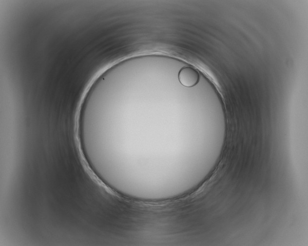 X0000113081088200908280942