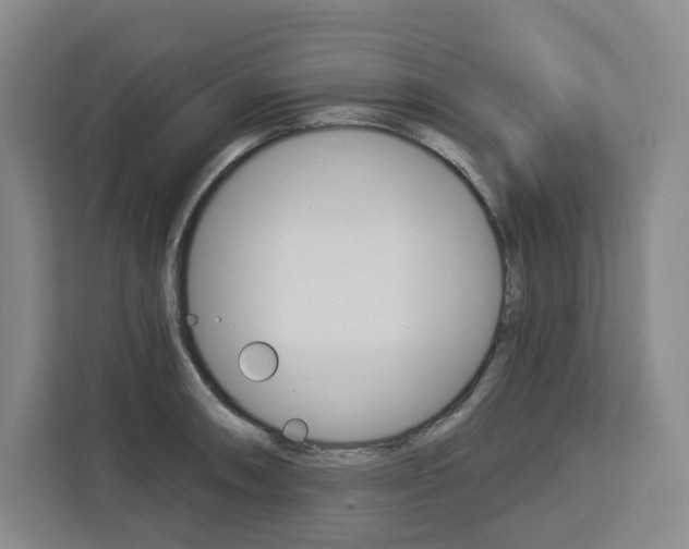 X0000113081090200908280942