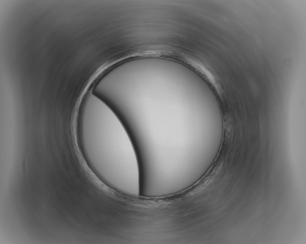 X0000113081091200908280942