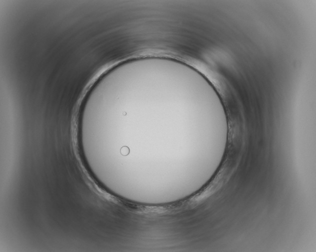 X0000113081094200908280942