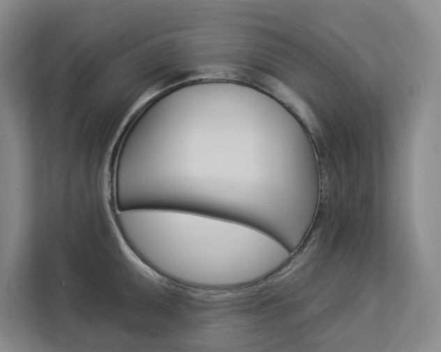 X0000113081095200908280942