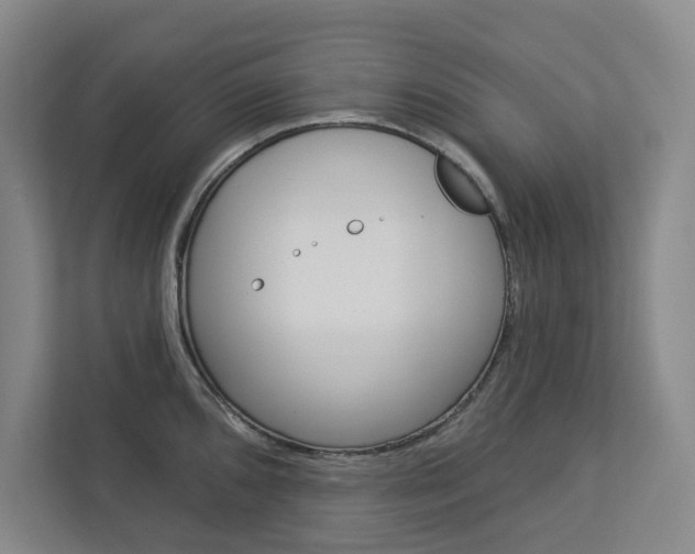 X0000113081096200908280942