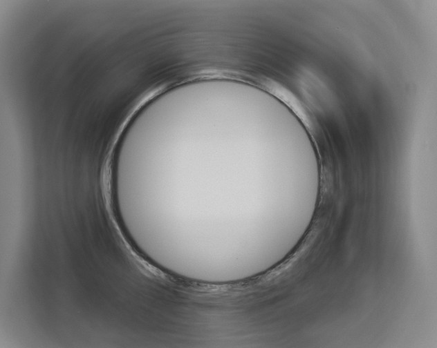 X0000113081098200908280942