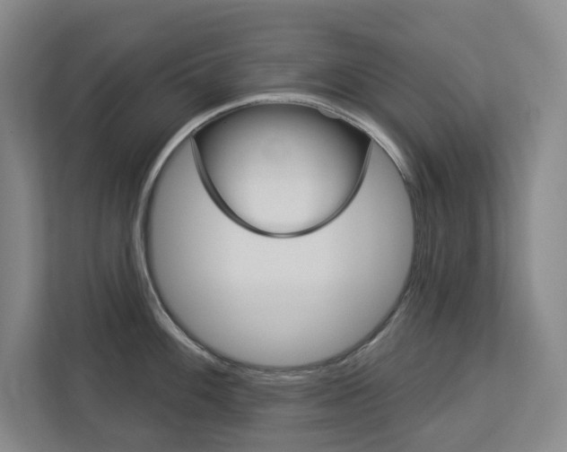 X0000113081100200908280942