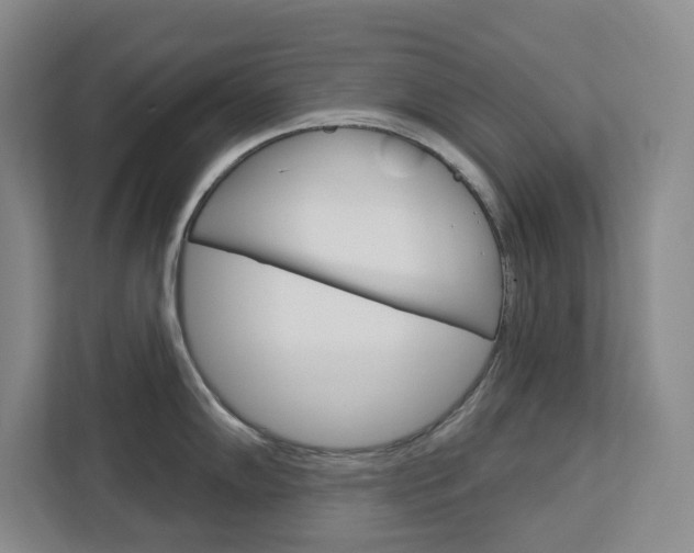 X0000113081102200908280942