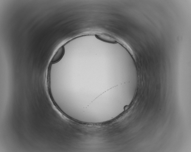X0000113081103200908280942