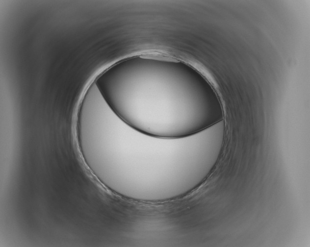 X0000113081104200908280942