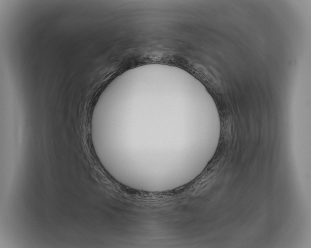 X0000113081105200908280941