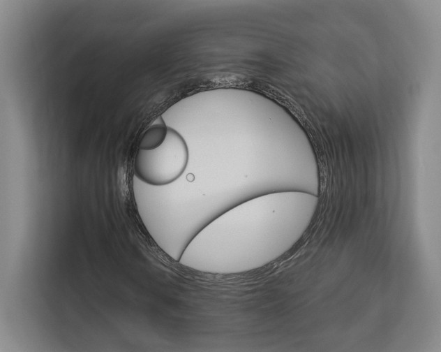 X0000113081106200908280941
