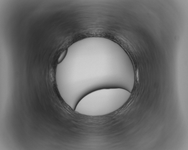 X0000113081107200908280941