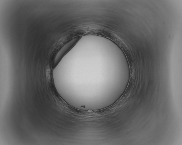 X0000113081108200908280941