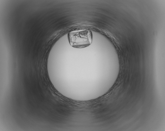 X0000113081110200908280941