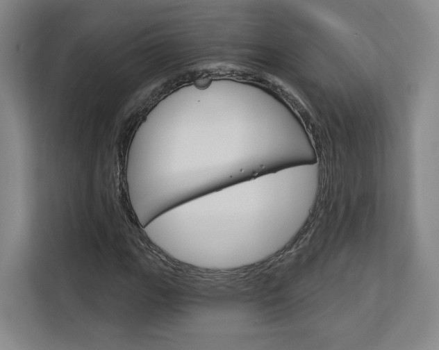 X0000113081111200908280941