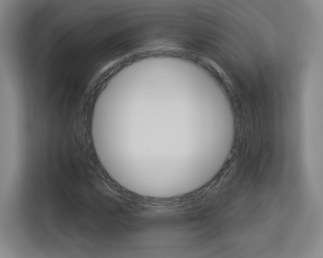 X0000113081112200908280941