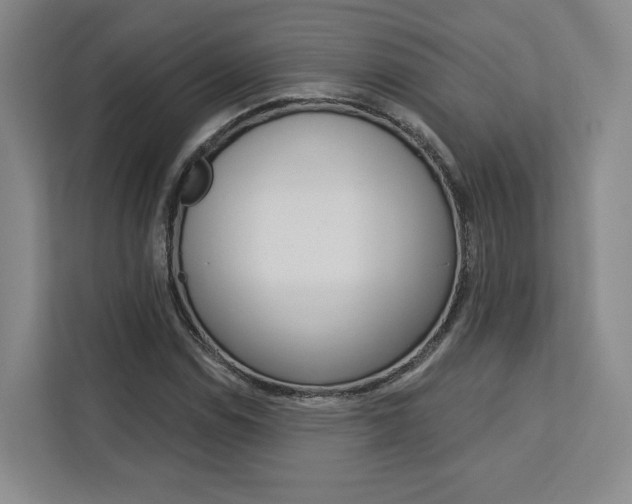 X0000113081114200908280942