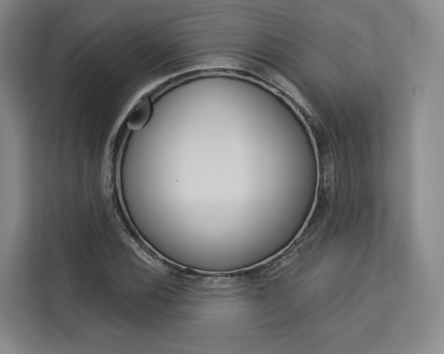 X0000113081116200908280942