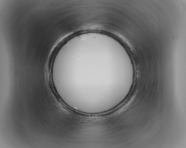 X0000113081117200908280942
