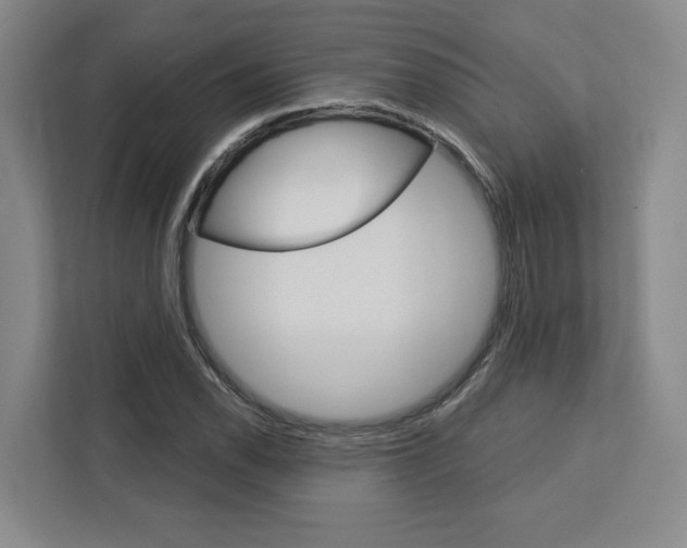 X0000113081118200908280942