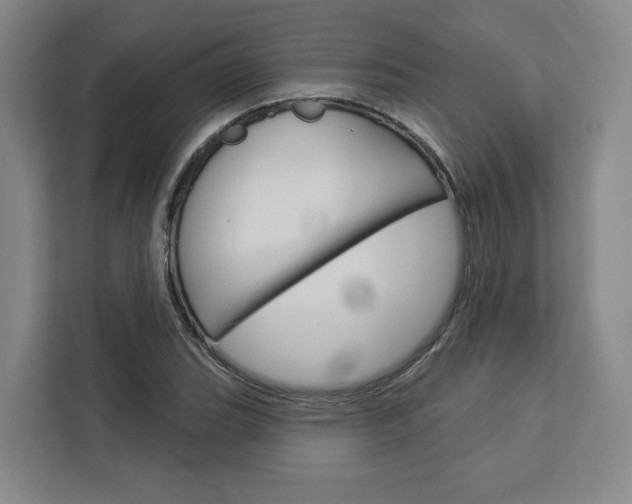 X0000113081119200908280942