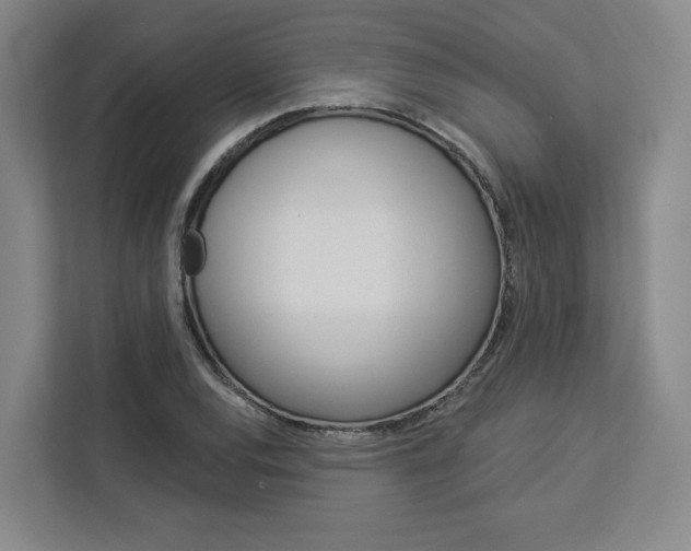 X0000113081120200908280942