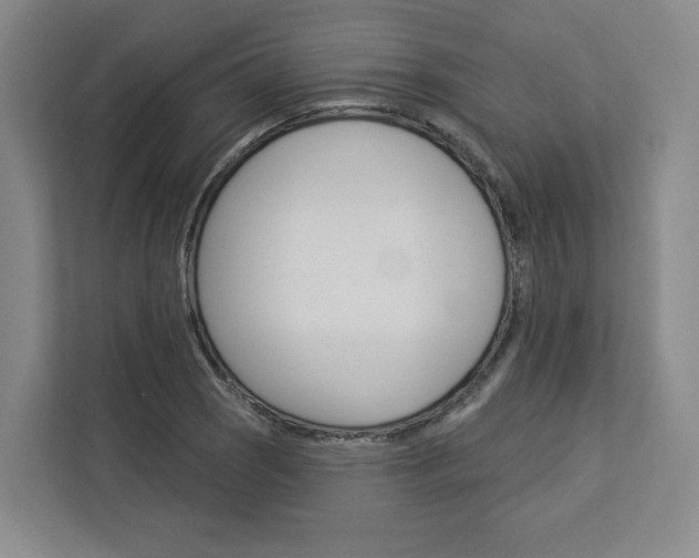 X0000113081121200908280942