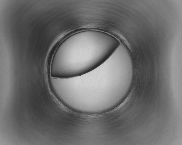 X0000113081122200908280942
