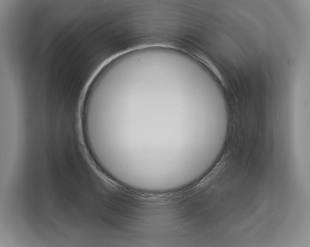 X0000113081124200908280942