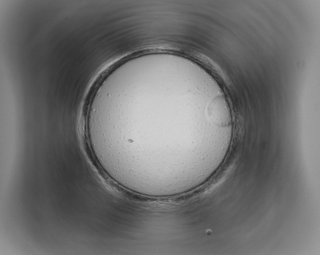 X0000113081125200908280942