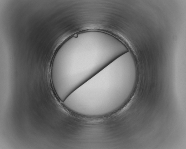 X0000113081129200908280942