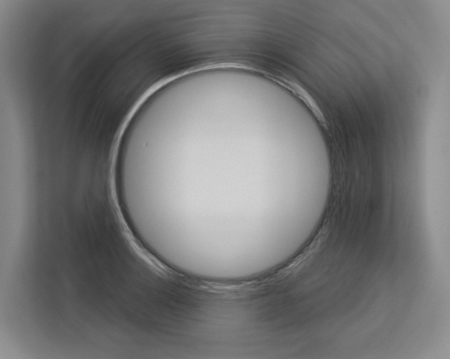 X0000113081132200908280942