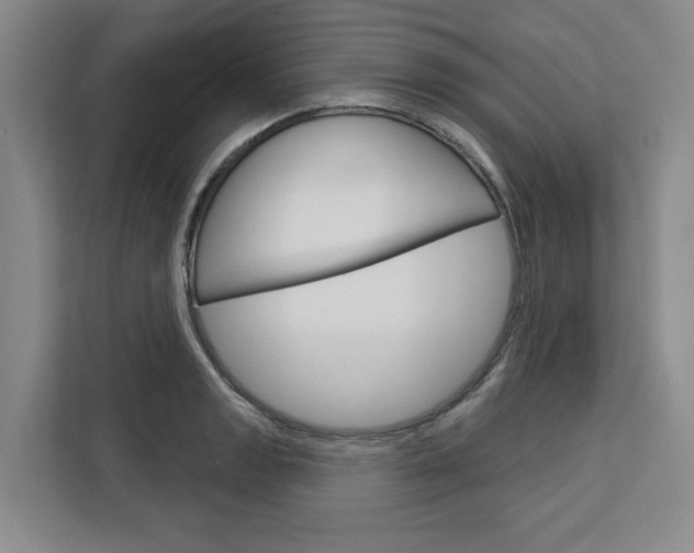 X0000113081133200908280942