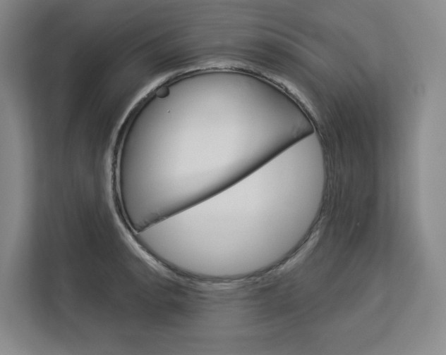 X0000113081134200908280942