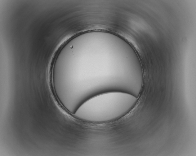 X0000113081135200908280942
