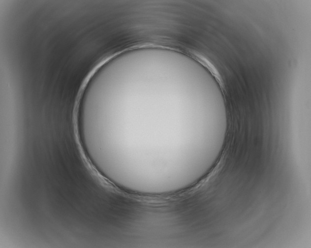X0000113081138200908280942