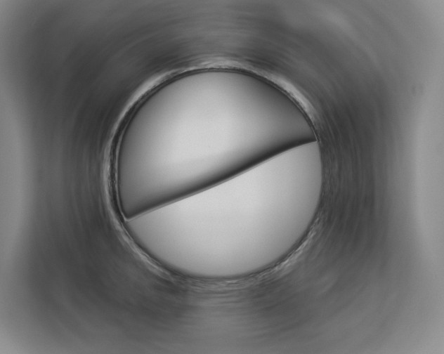 X0000113081142200908280942